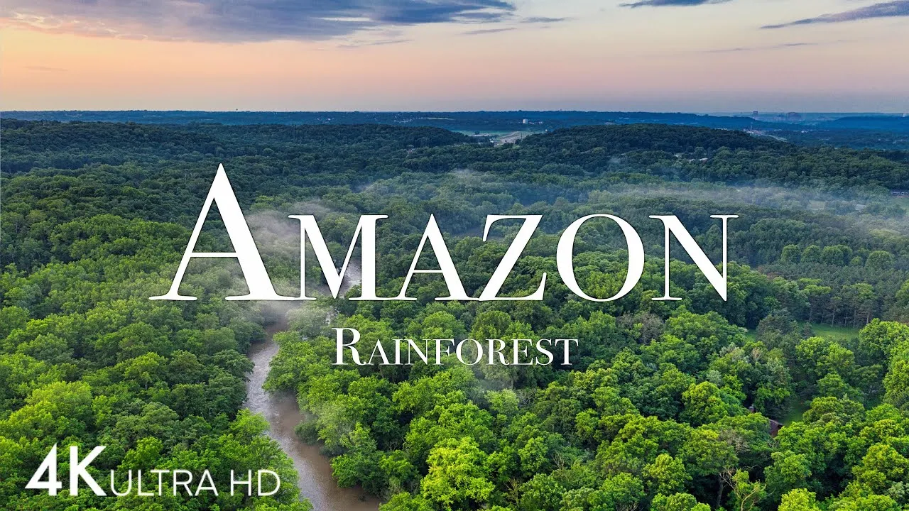 中文乱码卡一卡二新区 - 消失的部落：亚马逊雨林中的最后守望者